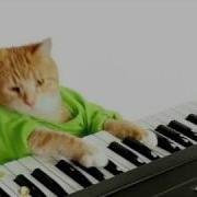 Keyboard Cat S Wonderful Pistachios Commercial