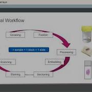 Introduction Of Tissue Microarrays
