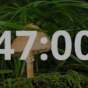 47 Minute Countdown Timer With Alarm Simple Beep