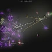 Bluenviron Mediamtx Gource Visualisation
