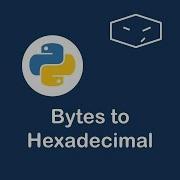 Bytes To Hexadecimal In Python