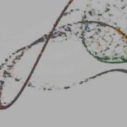 A Draw From A Deep Gaussian Process
