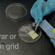 How To Prepare TEM Sample