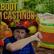 There Is NO Magic In Worm Castings Should You Buy Them