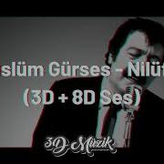 Müslüm Gürses Nilüfer 3D 8D Ses
