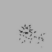 Flocking C