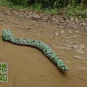 7707S Land And Swim Mode Toy 2 In 1 Amphibious Python Remote Control Snake Play Toys