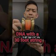 1M VIEWS Impossible Yo Yo Trick Do DNA With 30 Foot String Yoyo Dna Shorts