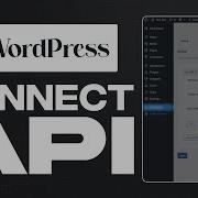 How To Connect Api With WordPress Full Guide
