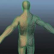 Shoulder Corrective BlendShapes Sergey Kraus