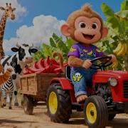 Monkey Cartoon Farmer Harvests Giants Kids Animation