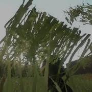 Miscreated Bug