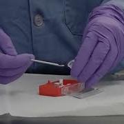 SEM Sample Preparation Powdered Samples