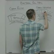 Bacterial Cell Wall