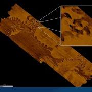 Sidescan Tips 60 Min