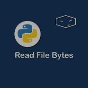 Read File Bytes In Python