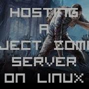 Hosting A Dedicated Project Zomboid Server On Linux