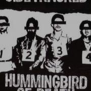 Sidetracked Split 6 W Hummingbird Of Death 2010