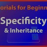 CSS Specificity And Inheritance Html5 CSS Course Full CSS Course For FREE