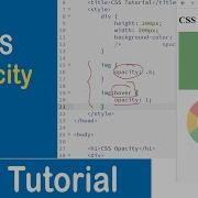 33 CSS Opacity Transparent Image Transparent Hover Effect CSS Tutorial