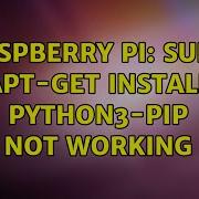 Raspberry Pi Sudo Apt Get Install Python3 Pip Not Working