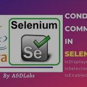 IsSelected IsEnabled IsDisplayed Conditional Commands In Selenium Java Automation