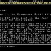 Internet C64 SuperCPU128 16 MB Jiffydos RR Net MK3 1351