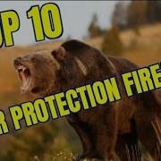 TOP TEN BEAR DEFENSE FIREARMS