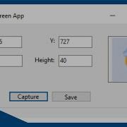 VB NET Capture Screen Utility In Winforms