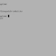 Klp Kernel Live Patching Cebit2015 Opensource Forum