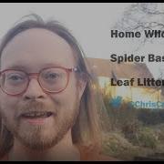 Home Wildlife 2 Spider Basics Leaf Litter Sieving