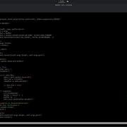 Black Hat Python Chapter2 Netcat