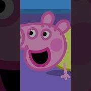 Stinky Nappy PeppaPig Shorts