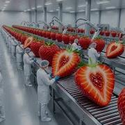 Inside The Modern Strawberry Jam Factory From Fresh Fruit To Jar Full Process