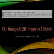 FIJI ImageJ 2D Image Vs Z Stack