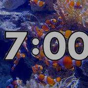 7 Minute Timer With Calming Music Clown Fish Ocean Fish Sharks