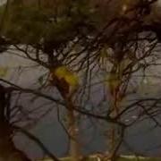 KuBaT Yalan Bunlar Yalan Söylediklerin Yalan Bu Kez Bana Inan Dur Gitme çok Günah Video Clip