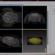 MI Viewer Overview