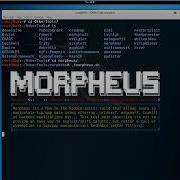 Kali Linux Tutorial Morpheus Buffer Overflow