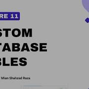 Lecture 11 How To Create Database Tables In WordPress WP Plugin Development Course 2025