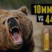 BEAR DEFENSE 44 Mag Vs 10mm Auto Which Is Better