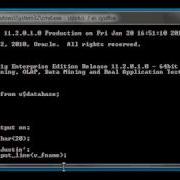 Oracle DBA Justin PL SQL 3 How To Use Variables