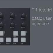 T 1 Basic User Interface
