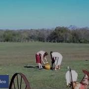 Funny Video Pumpkin Explosion FAIl