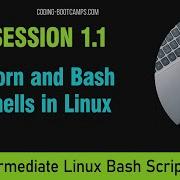 Master Linux Bash Scripting Session 1 1 Korn And Bash Shells