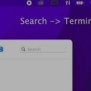 How To Solve CocoaPods Not Installed Or Not In Valid State Flutter Android Studio MacOs IOs Dart
