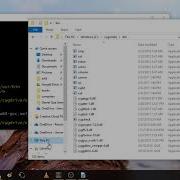 01 Cygwin Basics