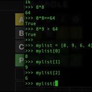 Deep Dive Into Python Programming Warning Long Video Wordle 230