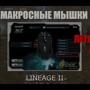 Макросная мышка Легальный бот в Lineage 2 Разбираем легитимность и эффективность Homunculus