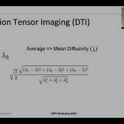 Diffusion Tensor Imaging DTI